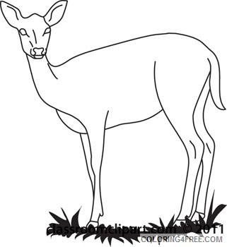 Deer Outline Coloring Pages animals deer outline04 112 classroom Printable Coloring4free