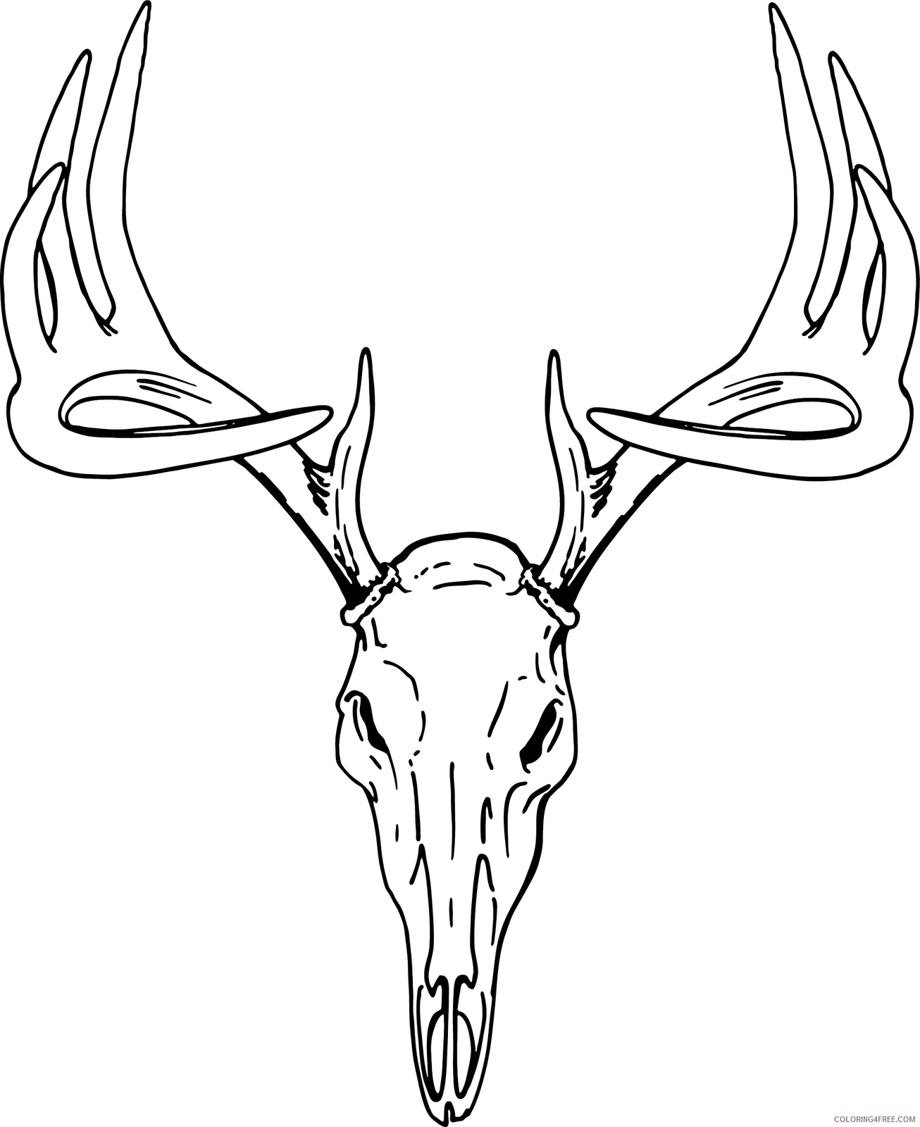 Deer Skull Coloring Pages deer skull graphics Printable Coloring4free