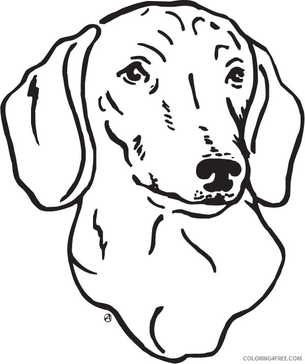 Dog Face Coloring Pages Dog face black and Printable Coloring4free