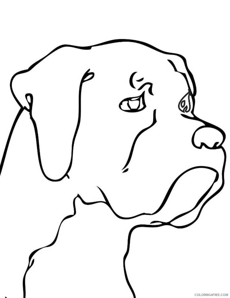 Dog Outline Coloring Pages dog head best ysGeSs Printable Coloring4free