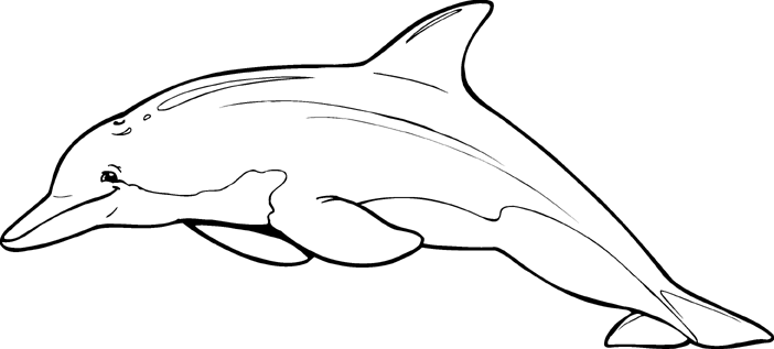 Dolphin Outline Coloring Pages lp o ff img01 dolphin Printable Coloring4free
