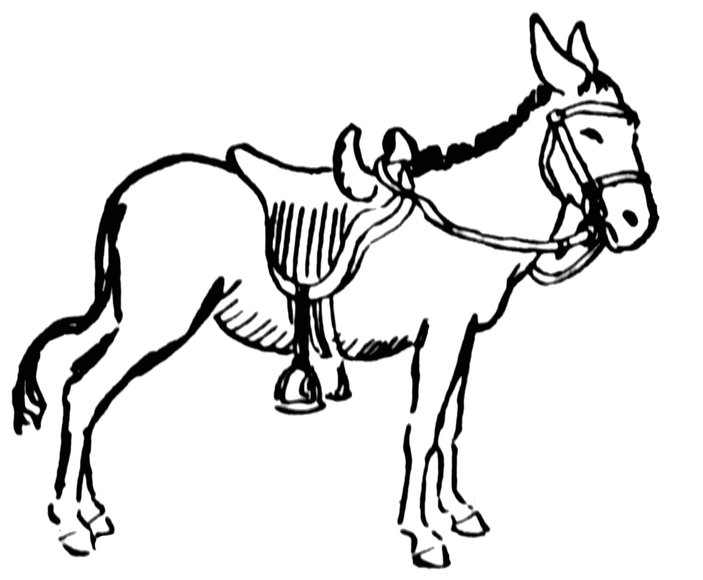 Donkey Coloring Pages donkey etc W6aJLT clipart Printable Coloring4free