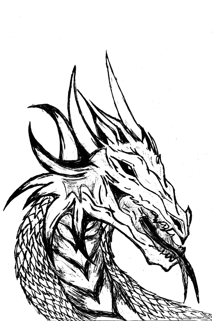 Dragon Head Coloring Pages dragon head Printable Coloring4free