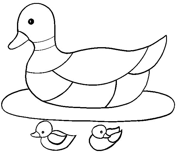 Duck Coloring Pages duck 11 gif Printable Coloring4free