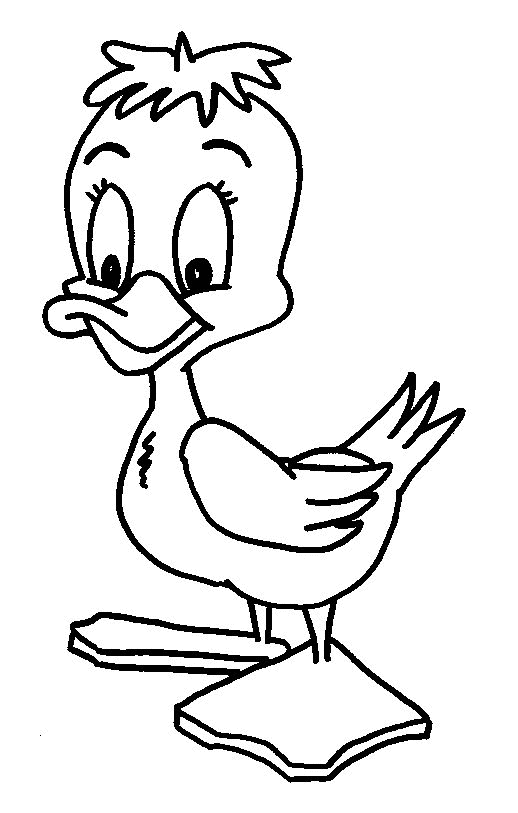 Duck Coloring Pages duck 12 gif Printable Coloring4free