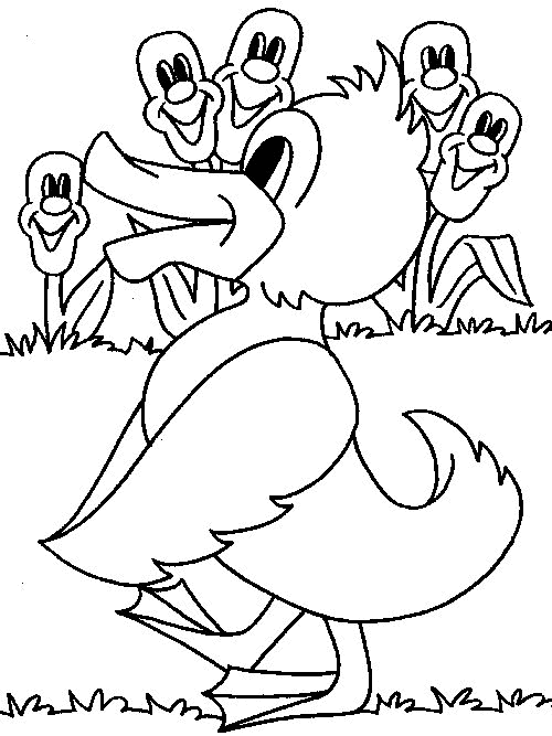 Duck Coloring Pages duck 16 gif Printable Coloring4free