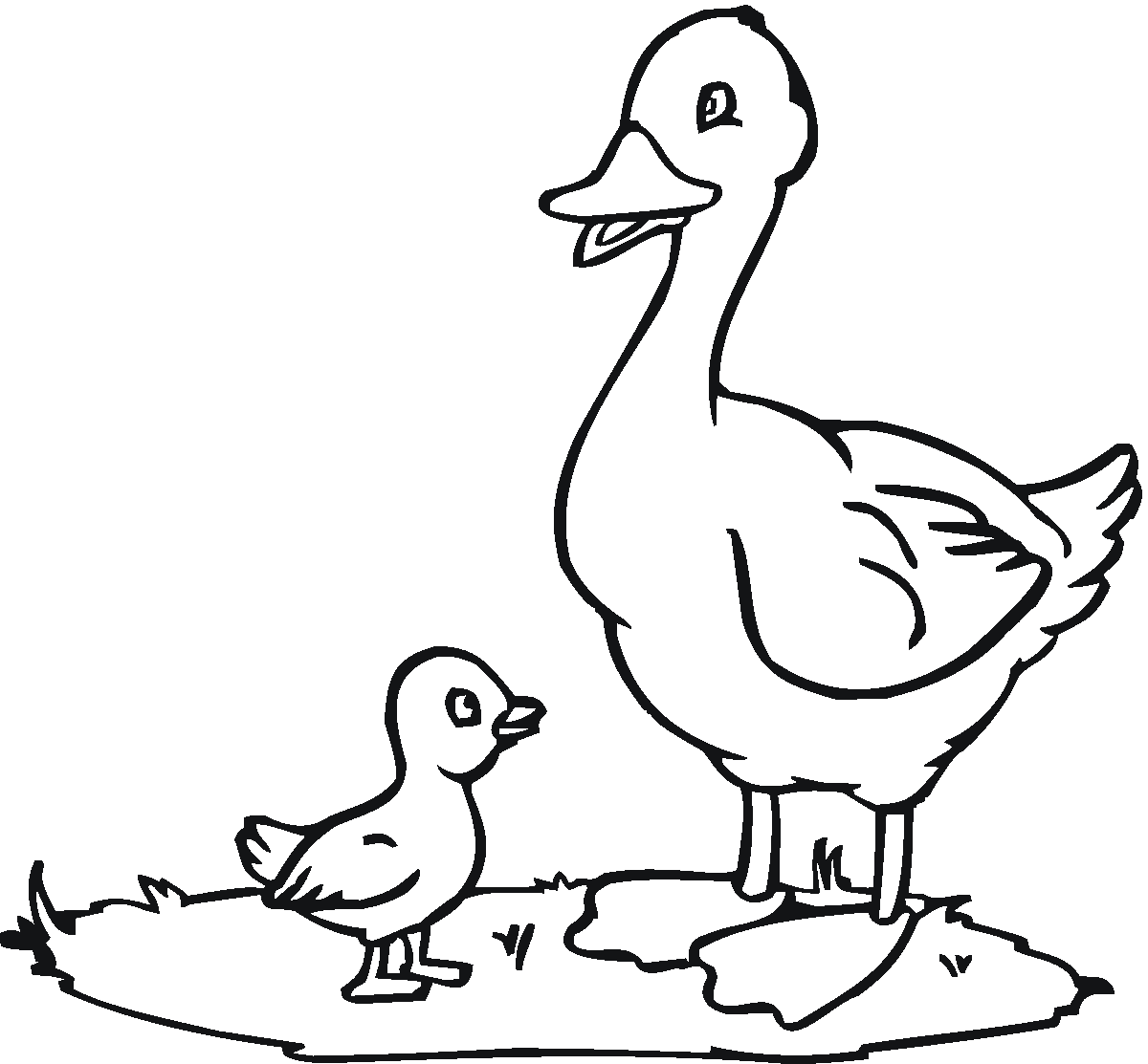 Duck Outline Coloring Pages duck outline printable best Printable Coloring4free