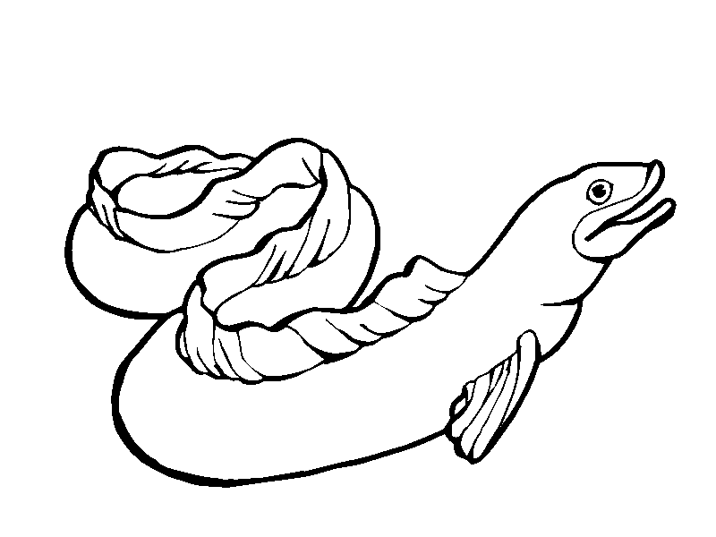 Eel Coloring Pages electric eel page az Printable Coloring4free