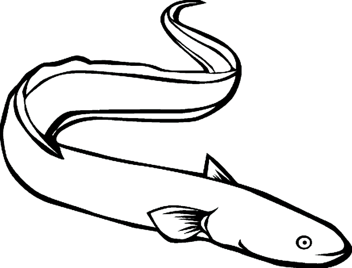 Eel Coloring Pages posted in eel sea animals Printable Coloring4free
