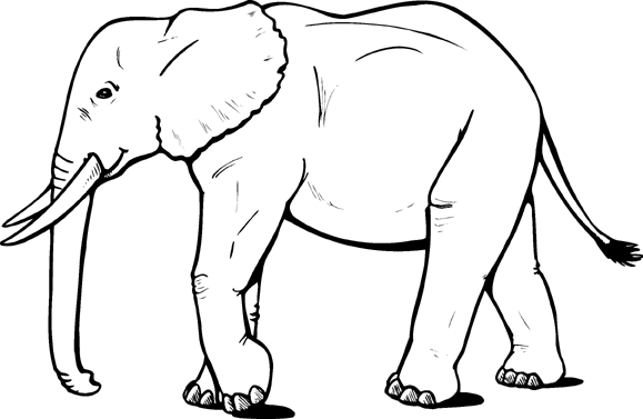 Elephant Outline Coloring Pages free printable elephant pages Printable Coloring4free