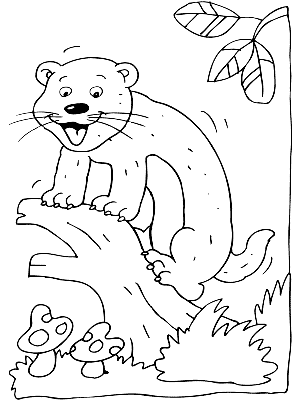 Ferret Coloring Pages ferret 0 gif Printable Coloring4free