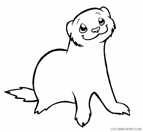 Ferret Coloring Pages ferret 88 jpg Printable Coloring4free