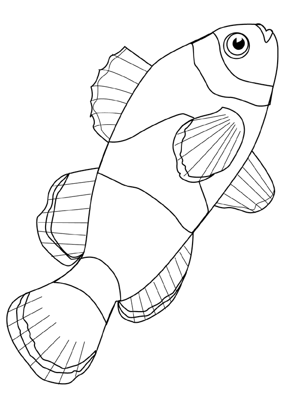 Fish Coloring Pages fish animals 11 Printable Coloring4free