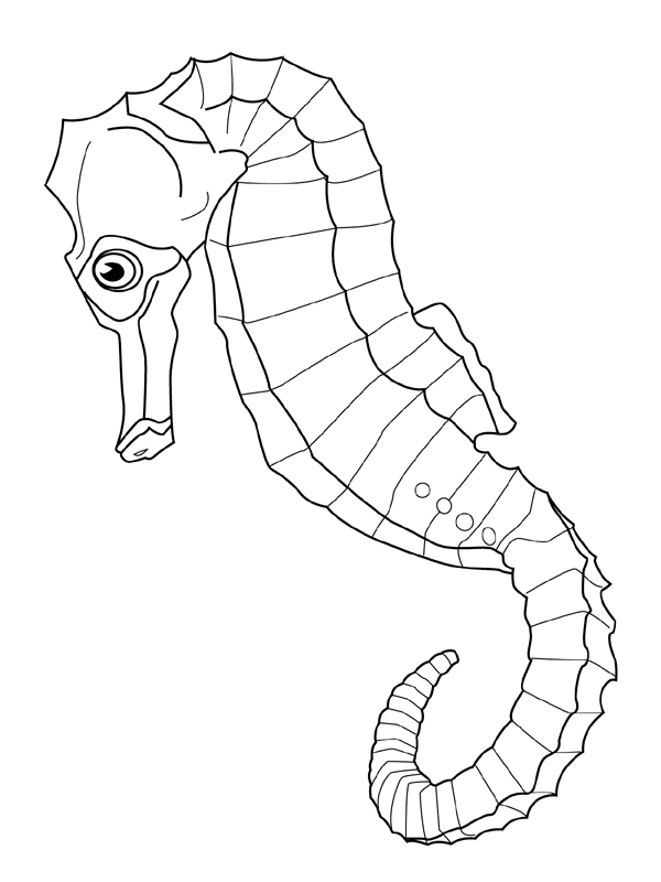 Fish Coloring Pages fish animals 16 Printable Coloring4free