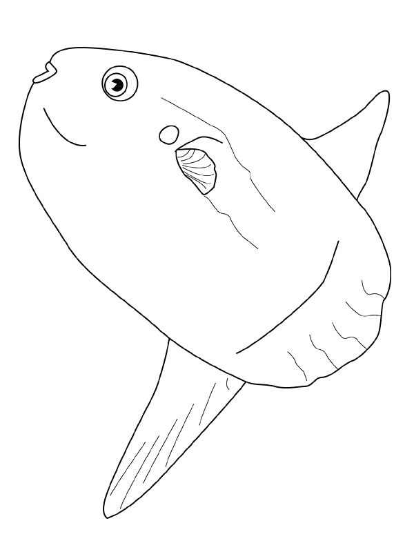 Fish Coloring Pages fish animals 18 Printable Coloring4free