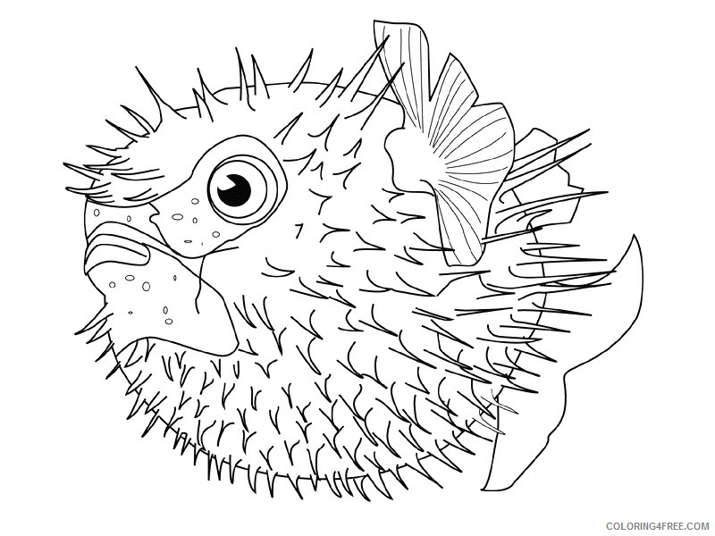 Fish Coloring Pages fish animals 30 Printable Coloring4free