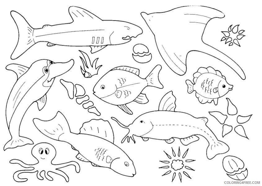 Fish Coloring Pages fish animals 34 Printable Coloring4free