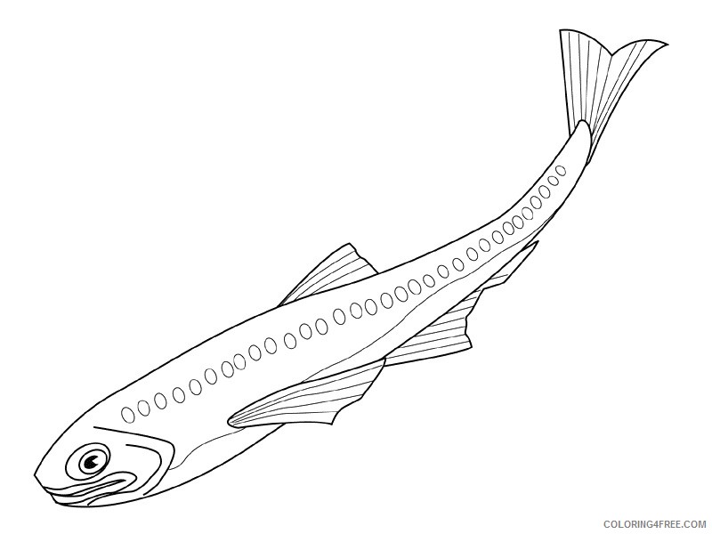 Fish Coloring Pages fish animals 41 Printable Coloring4free