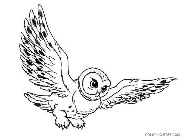 Flying Owl Coloring Pages flying snowy owl Printable Coloring4free