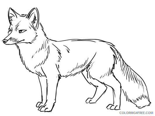 Fox Outline Coloring Pages fox outline line drawing painting Printable Coloring4free