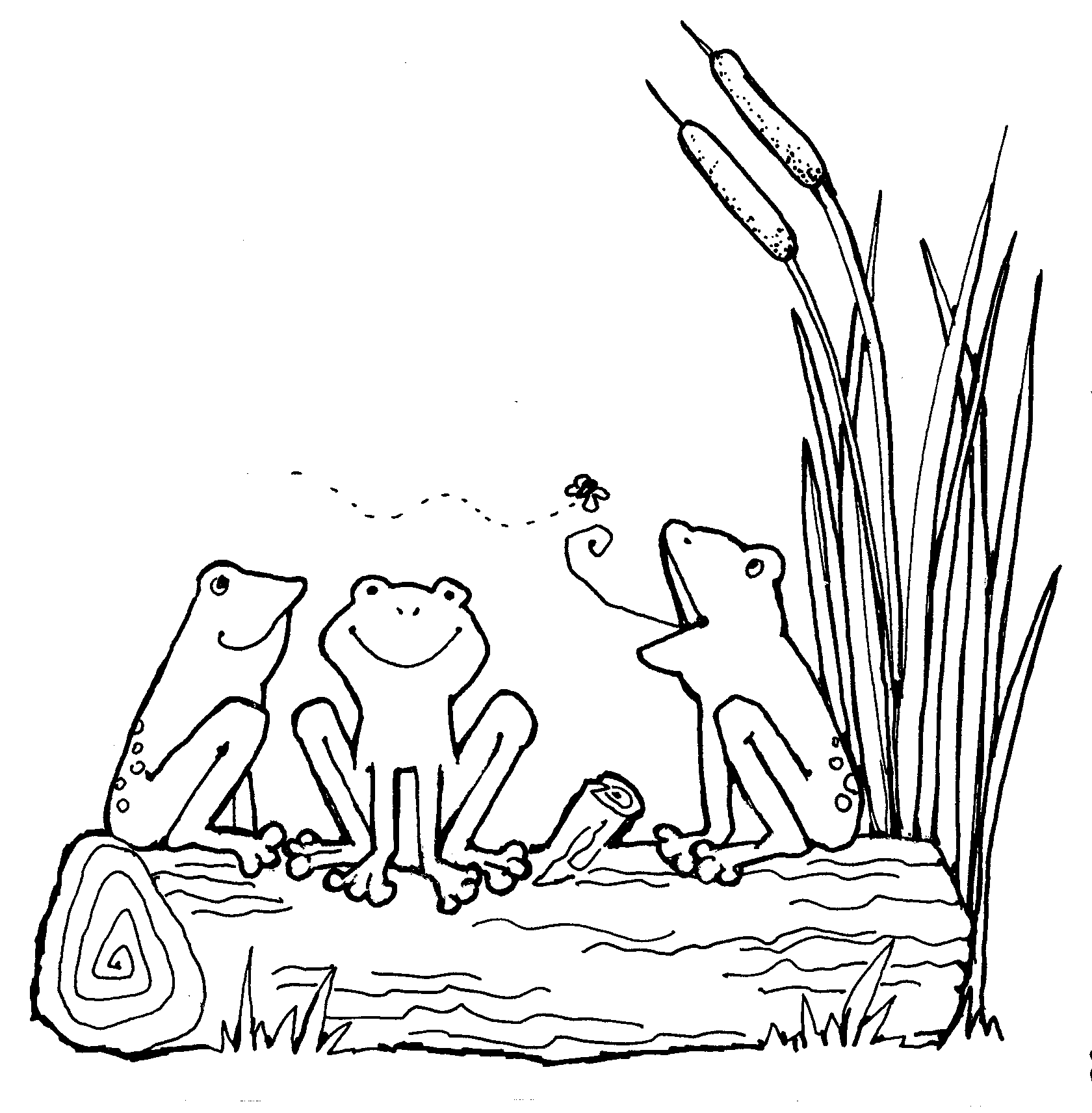 Frog Outline Coloring Pages frog Printable Coloring4free