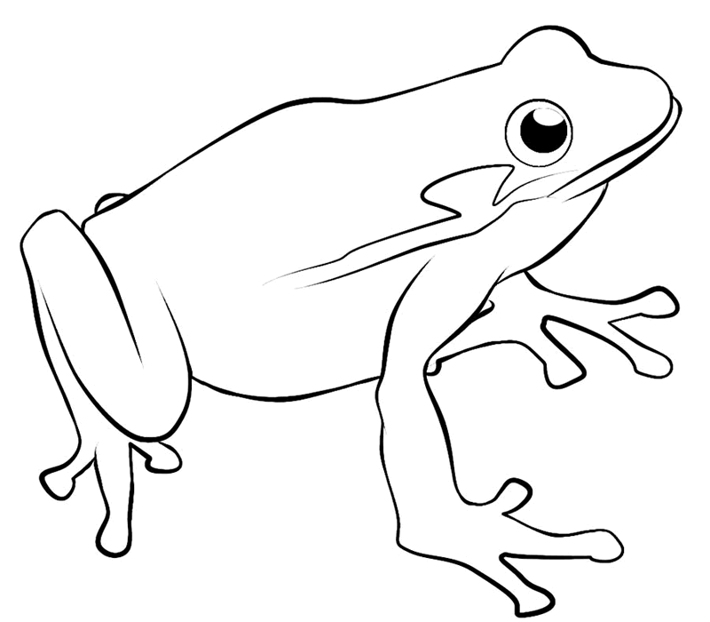 Frog Outline Coloring Pages frog on a log clip Printable Coloring4free