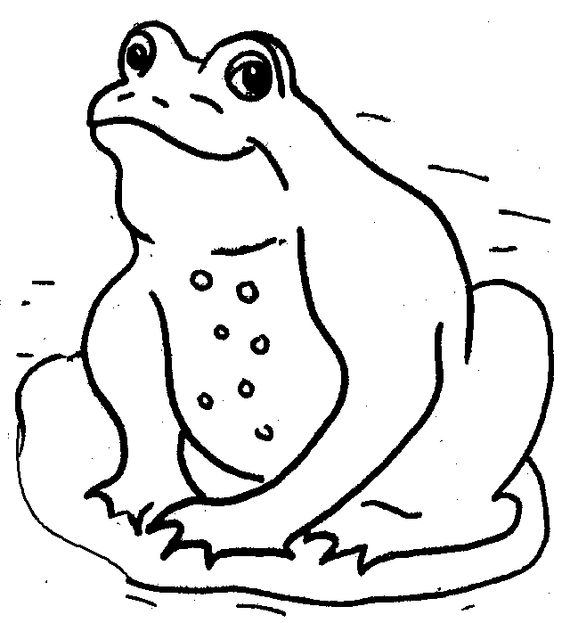 Frog on Lily Pad Coloring Pages frog on lily pad clipart Printable Coloring4free
