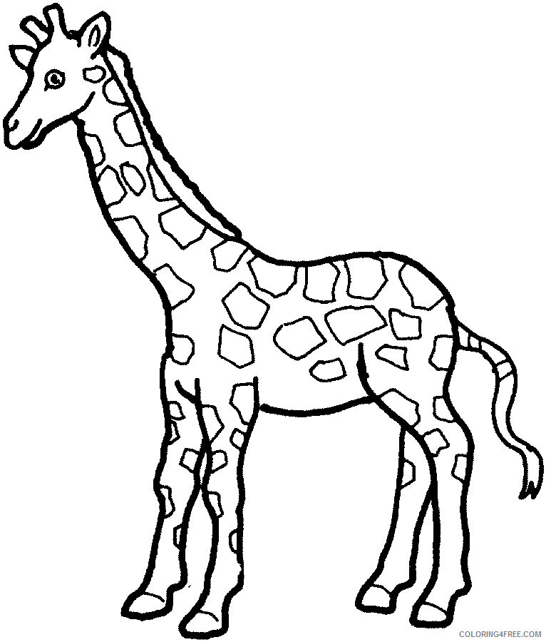 Giraffe Outline Coloring Pages 20 giraffe outline free cliparts Printable Coloring4free