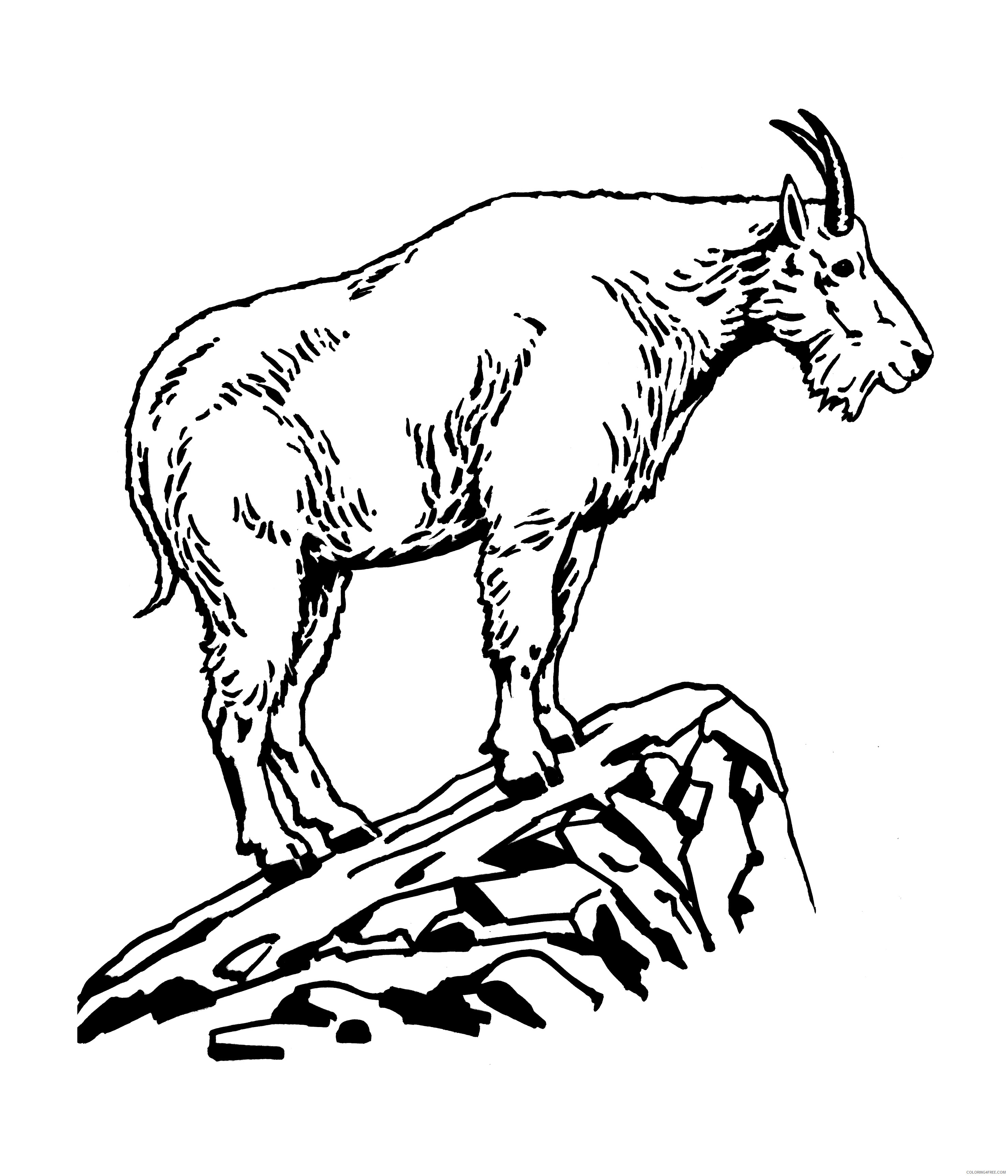 Goat Outline Coloring Pages goat Printable Coloring4free