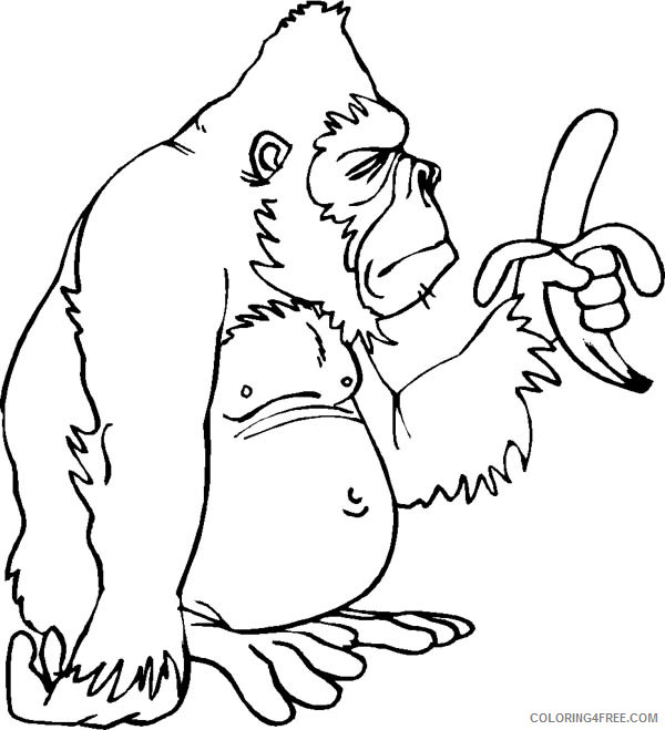 Gorilla Coloring Pages gorilla only has one banana Printable Coloring4free