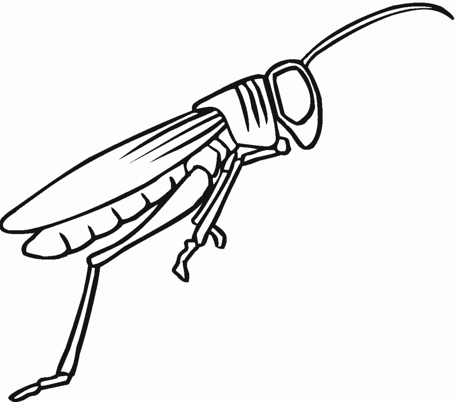 Grasshopper Coloring Pages grasshopper 21 gif Printable Coloring4free