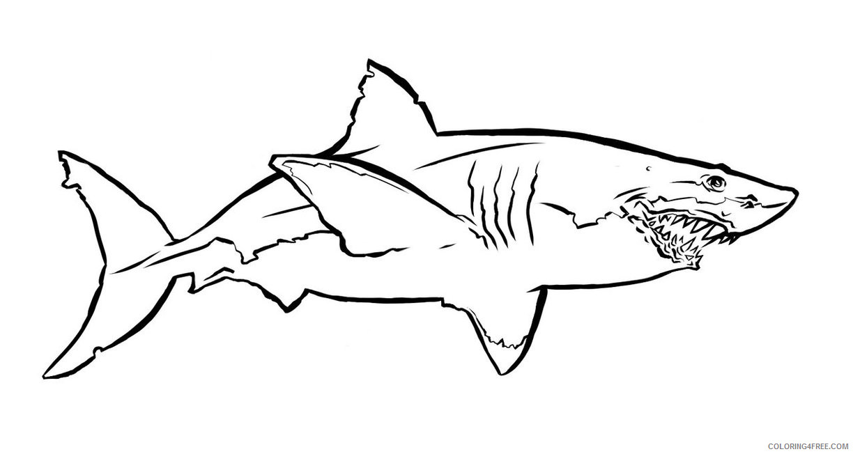 Great White Shark Coloring Pages great white shark by ianouterspacechase Printable Coloring4free