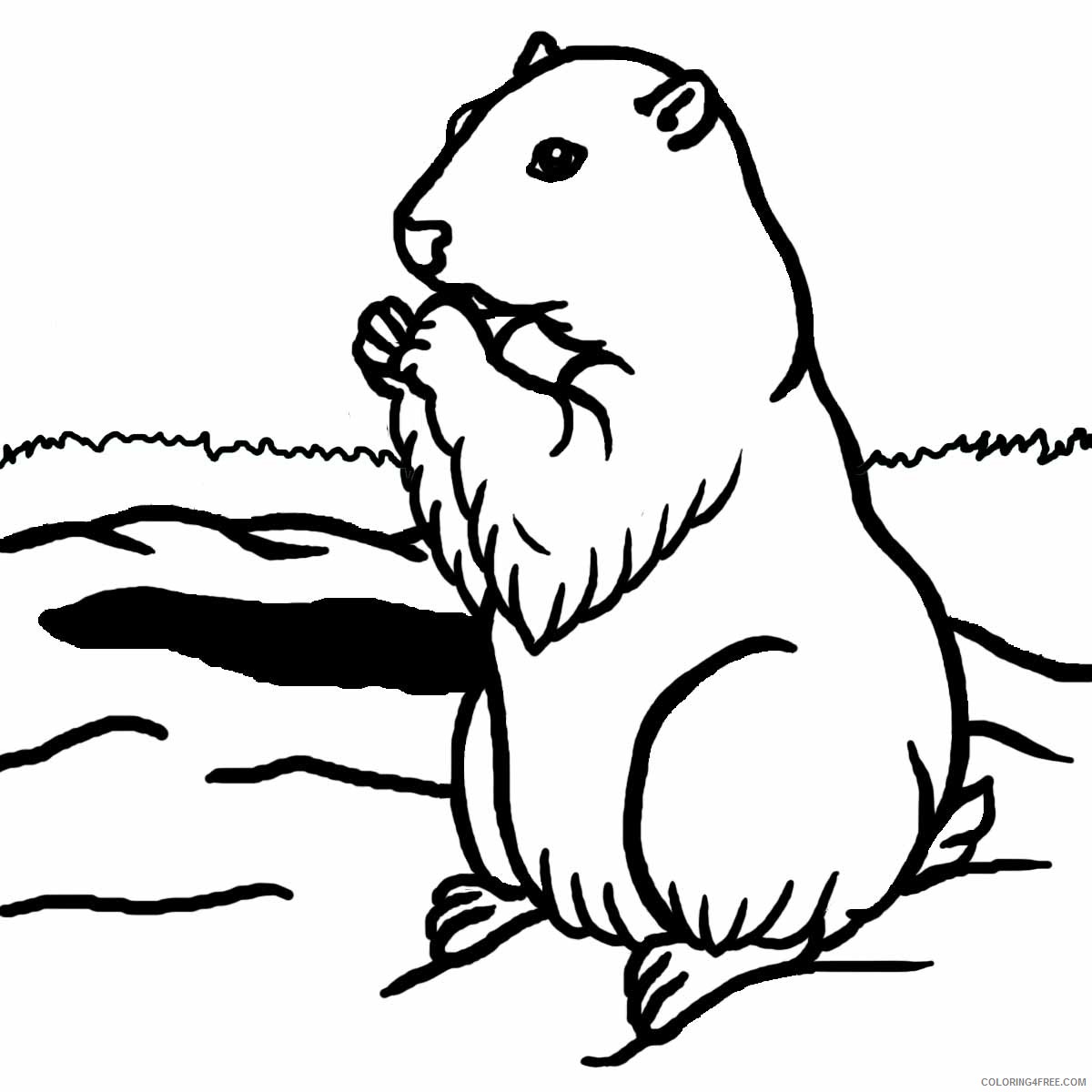 Groundhog Coloring Pages Groundhog Day Clipart Printable Coloring4free Coloring4free Com