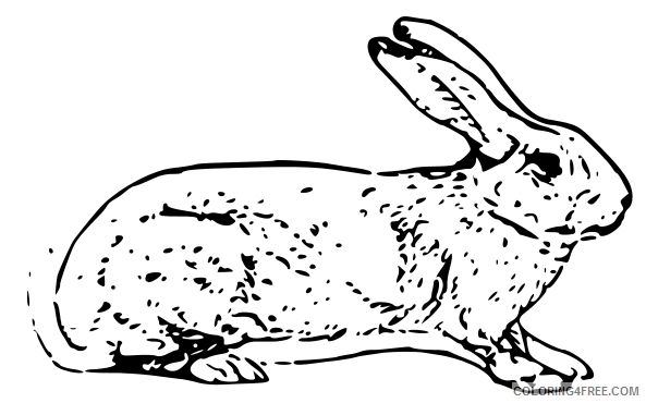 Hare Coloring Pages hare 15 png Printable Coloring4free