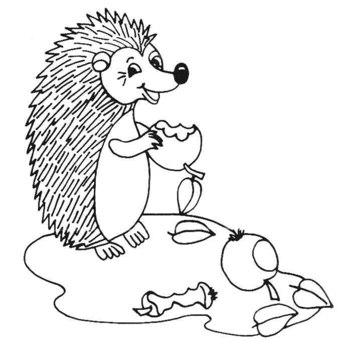 Hedgehog Coloring Pages hedgehog animals 35 Printable Coloring4free