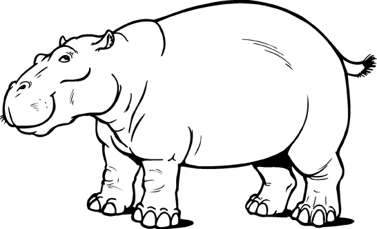 Hippo Coloring Pages hippo black and Printable Coloring4free