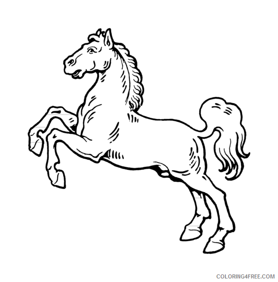 Horse Quality Coloring Pages White horse png Printable Coloring4free