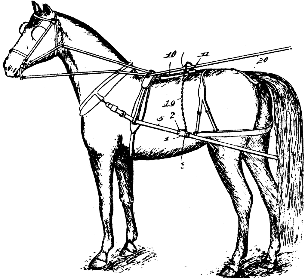 Horse Quality Coloring Pages horse detaching harness etc Printable Coloring4free