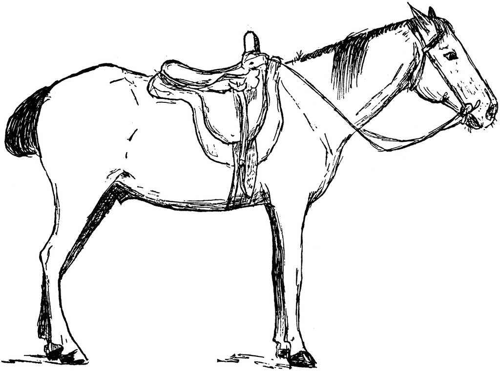 Horse Quality Coloring Pages horse saddle 5T9ktC Printable Coloring4free