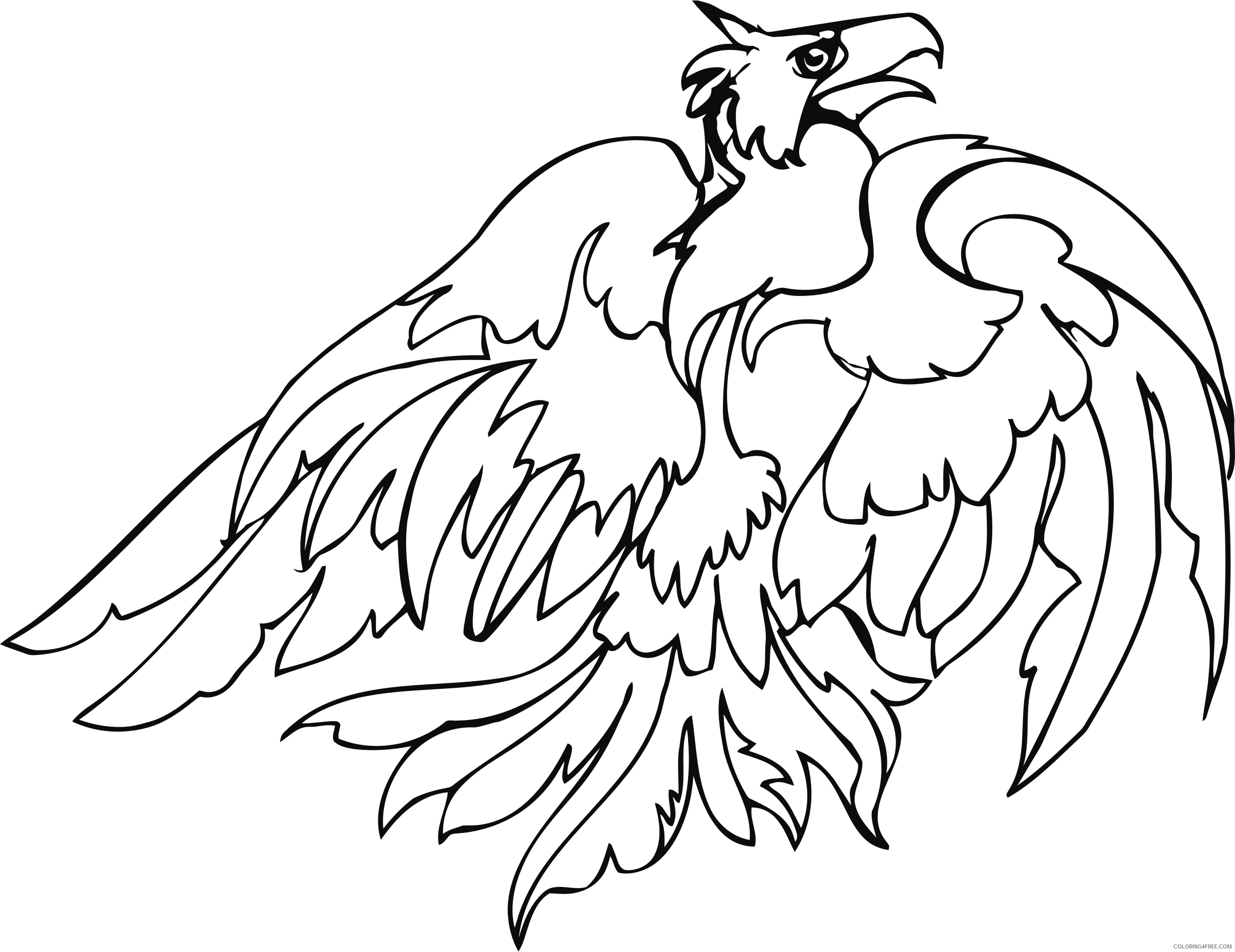 Huge Bird Coloring Pages bird of prey line art Printable Coloring4free