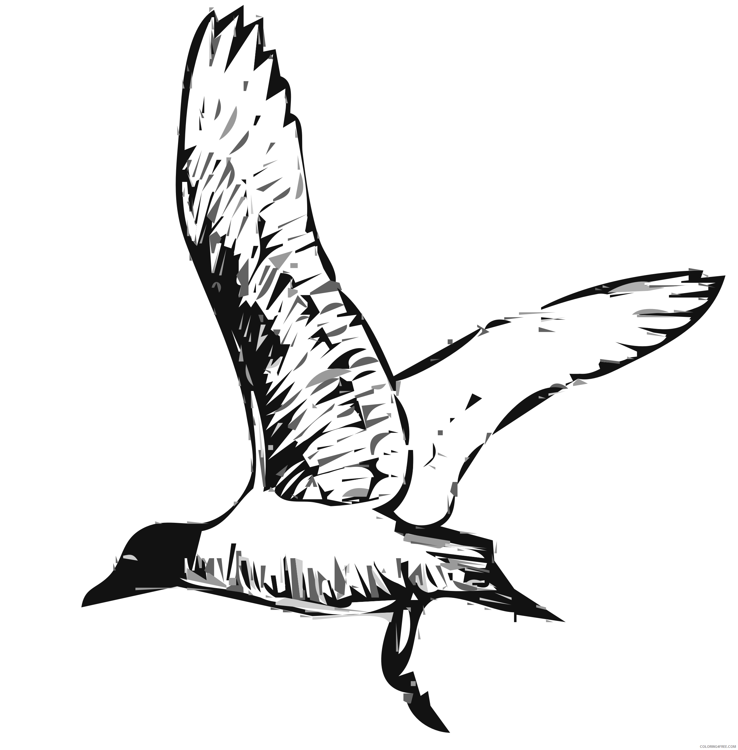 Huge Bird Coloring Pages franklins gull bird bpng Printable Coloring4free