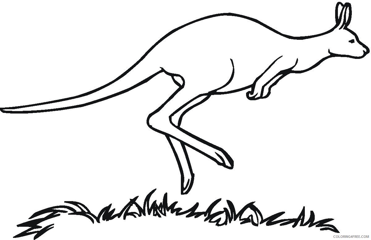 Kangaroo Outline Coloring Pages kangaroo 18 jpg Printable Coloring4free