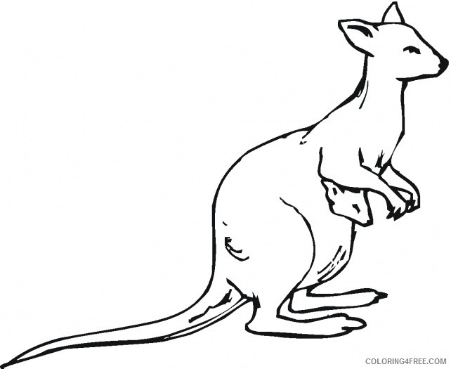Kangaroo Outline Coloring Pages kangaroo outline to colour clipart Printable Coloring4free