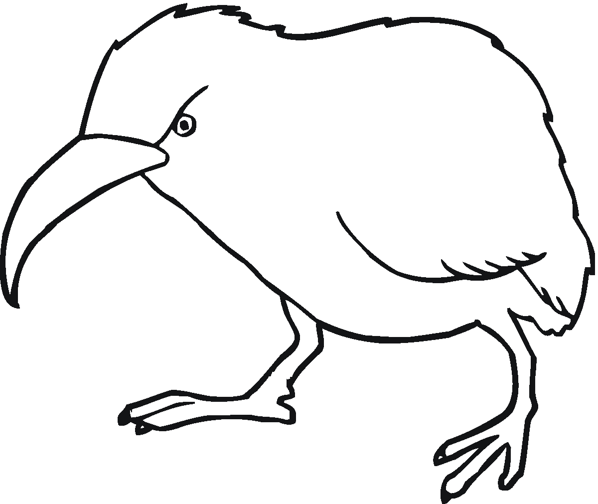 Kiwi Bird Coloring Pages kiwi bird page free Printable Coloring4free