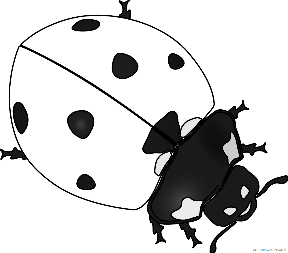 Ladybug Outline Coloring Pages ladybug drawing Printable Coloring4free