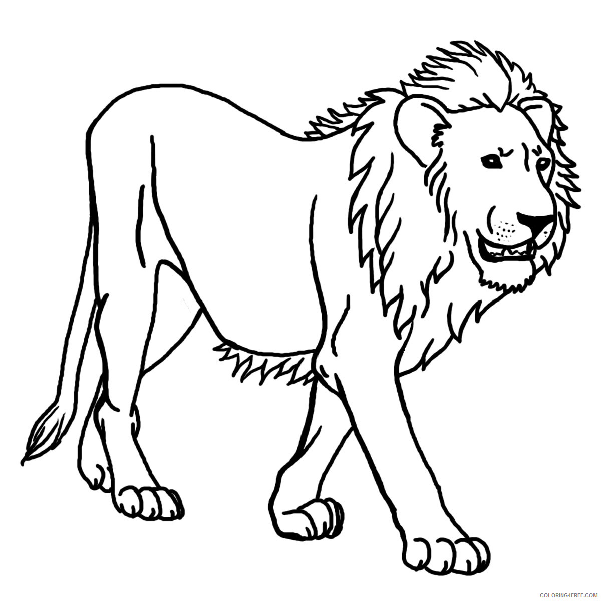 Lion Outline Coloring Pages lion 49 jpg Printable Coloring4free