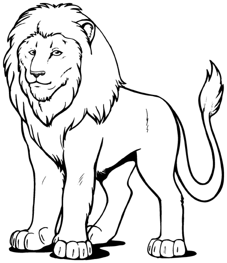 Lion Outline Coloring Pages lion lion clip art Printable Coloring4free