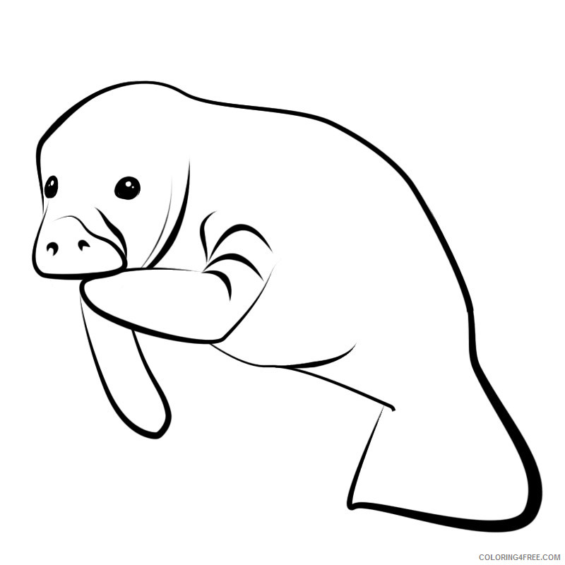 693 Cute Manatee Coloring Pages Printable with disney character