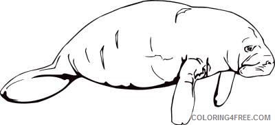 Manatee Coloring Pages manatee 9 jpg Printable Coloring4free