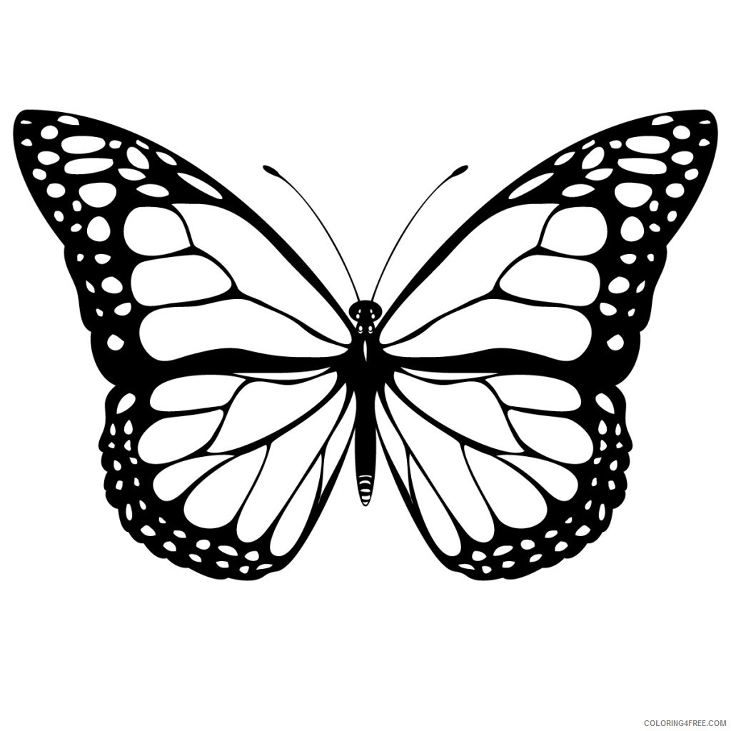 Monarch Butterfly Coloring Pages page Printable Coloring4free